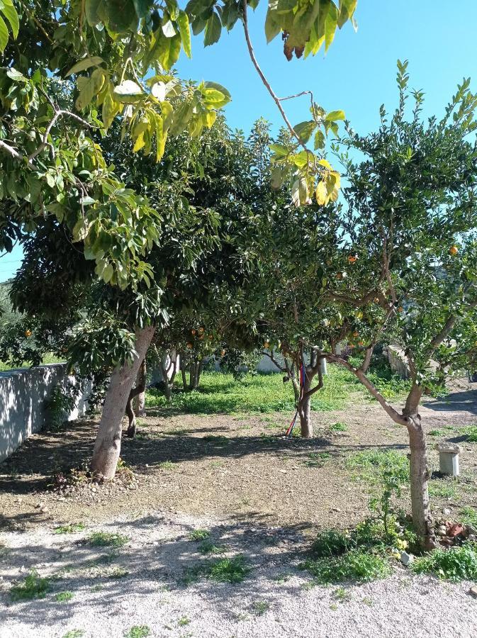 Avocado House Villa Finikounta Dış mekan fotoğraf