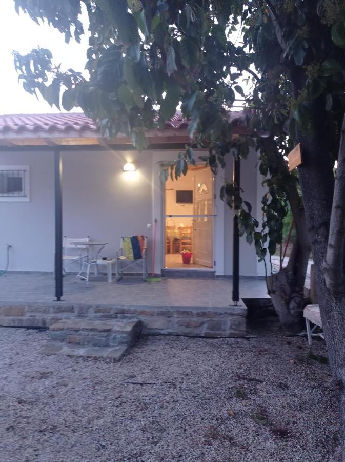 Avocado House Villa Finikounta Dış mekan fotoğraf