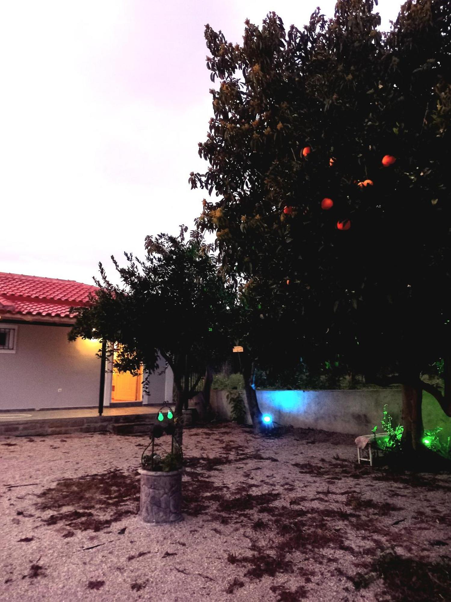 Avocado House Villa Finikounta Dış mekan fotoğraf