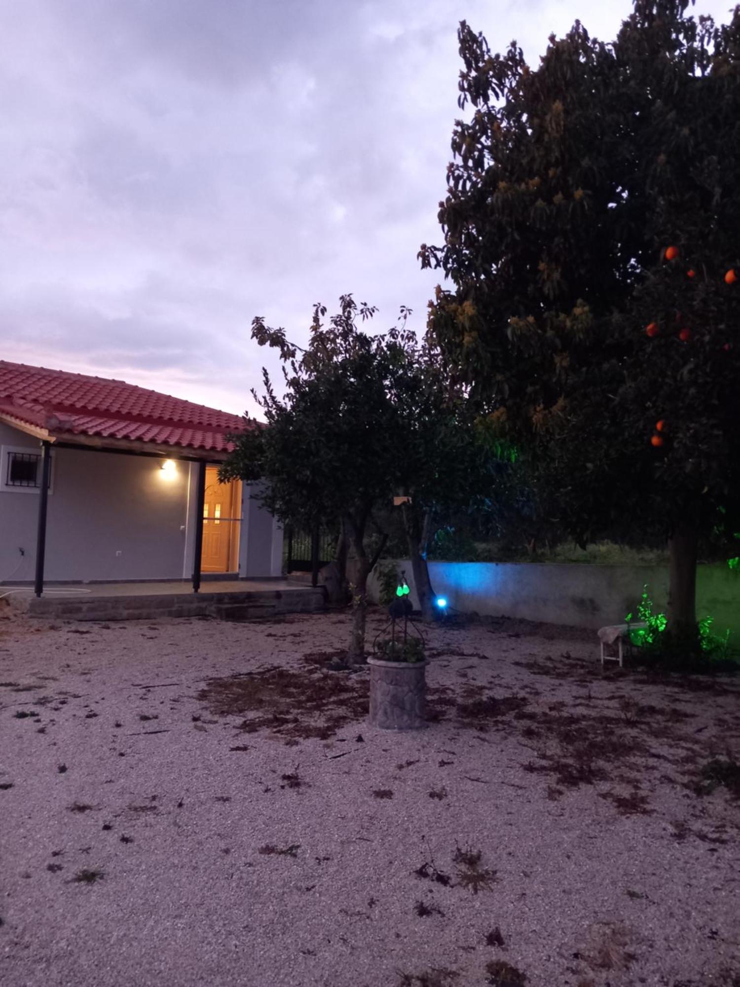 Avocado House Villa Finikounta Dış mekan fotoğraf