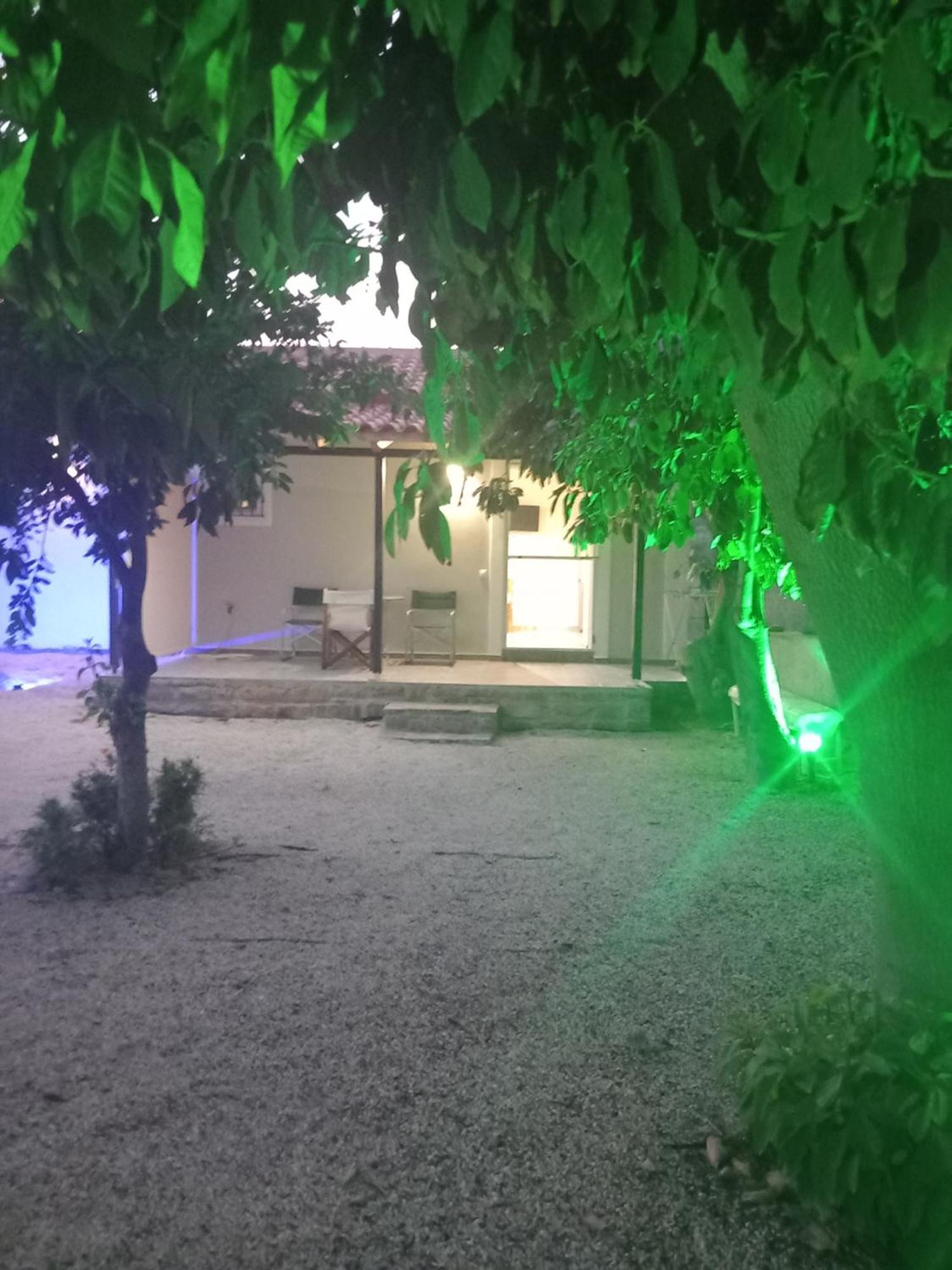 Avocado House Villa Finikounta Dış mekan fotoğraf